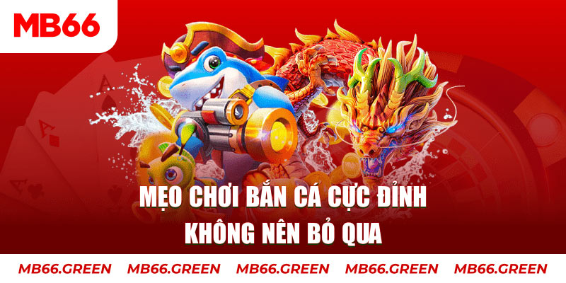 gà chọi thomo