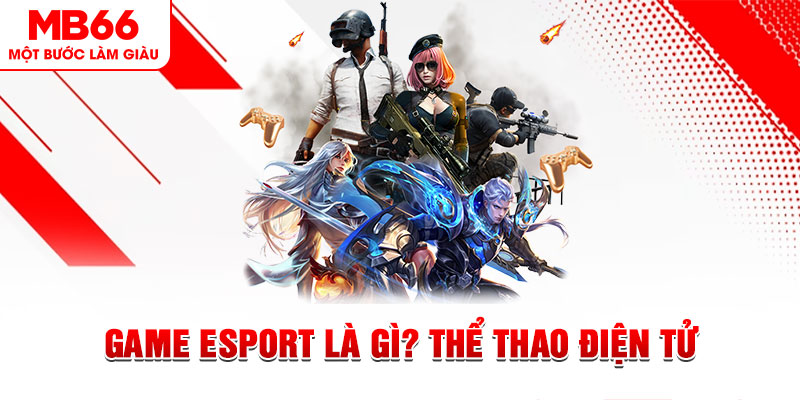 w88top đăng nhập mậu binh dễ thắng