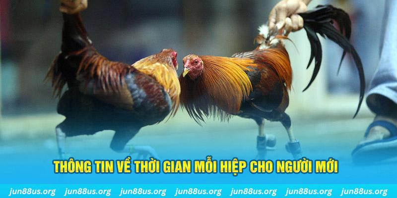 w88top xổ số bình dương