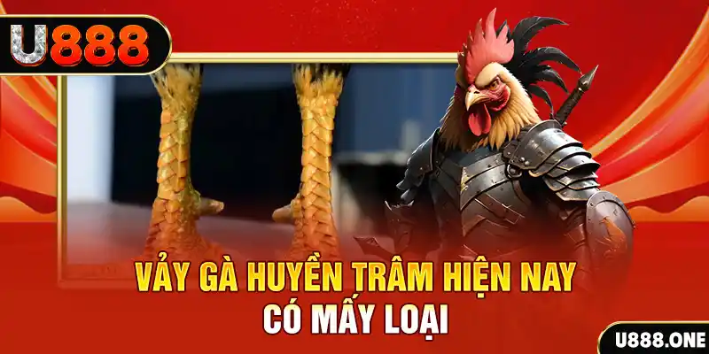 trực tiếp đá gà thomo hôm nay