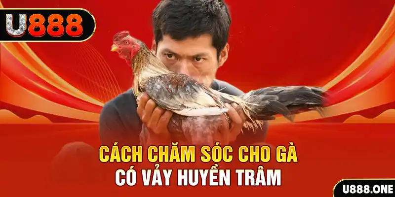 trò chơi bắn cá