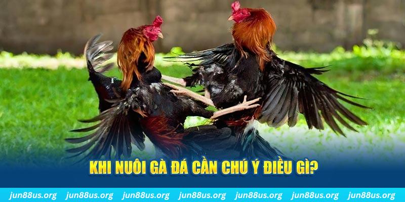 T1 Điện Tử