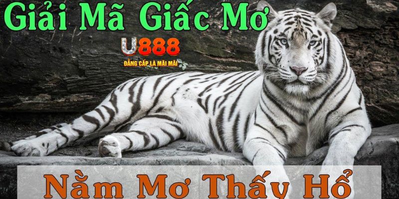 game máy bay cá cược