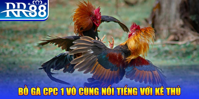 w88top xổ số miền bắc thứ tư