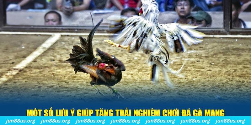 xổ số hôm nay miền bắc
