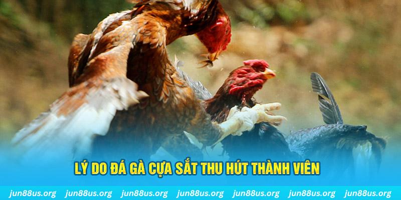 game đánh bài đổi thẻ điện thoại trên máy tính
