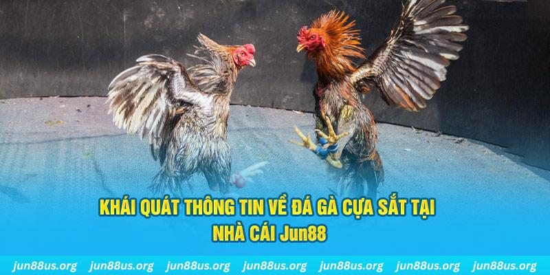 trực tiếp đá gà hôm nay