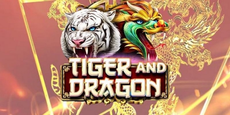 w88top đăng nhập roulette 2024