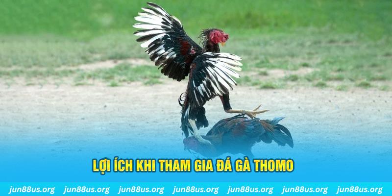 đăng nhập poker