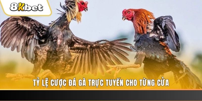 khi nào nổ hũ 8 bit
